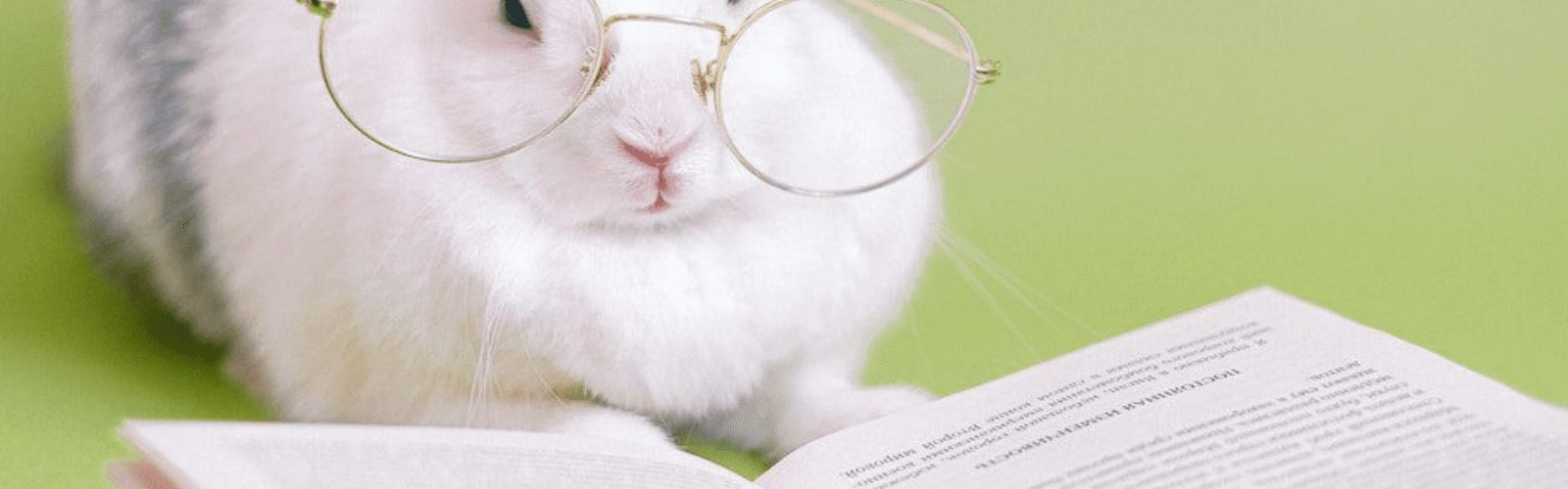 documents-banner